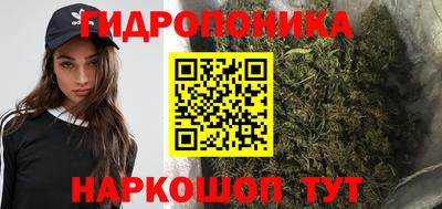 ПСИЛОЦИБИНОВЫЕ ГРИБЫ Вязники