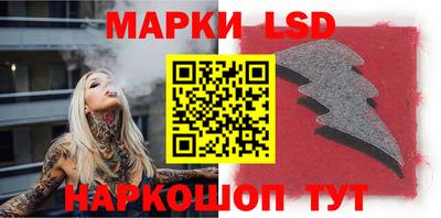 ПСИЛОЦИБИНОВЫЕ ГРИБЫ Вязники
