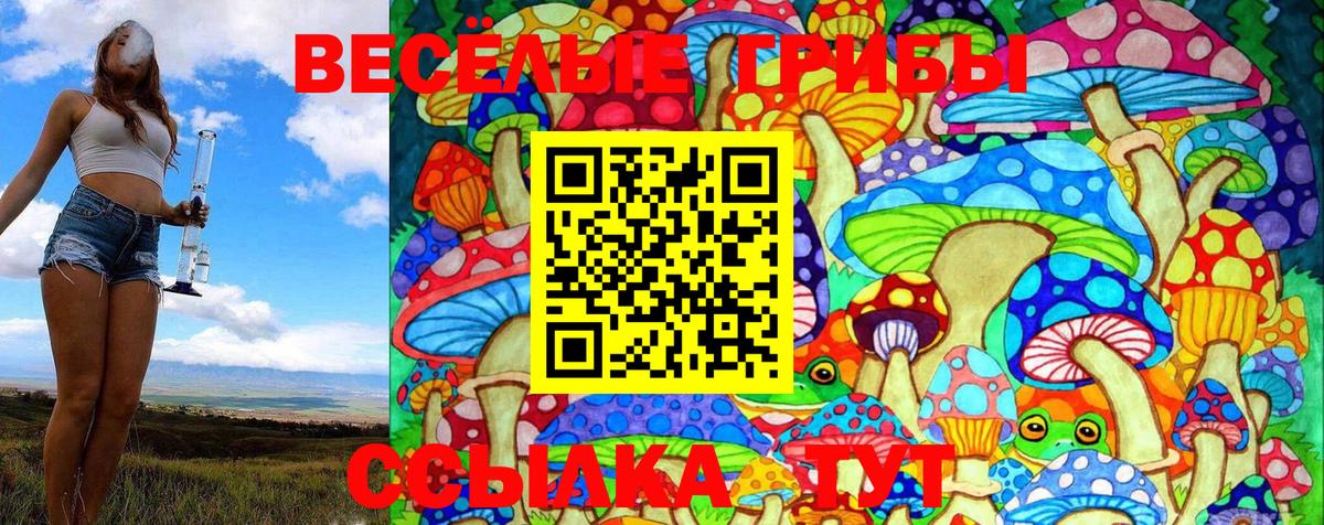 Йошкар-Ола  Псилоцибиновые грибы Cubensis  наркотики  Вход с VPN 
